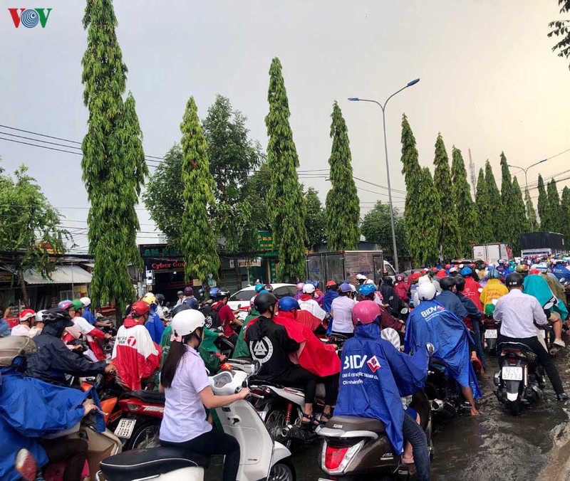   mua dau mua gay ngap sau nhieu tuyen duong o can tho hinh 2