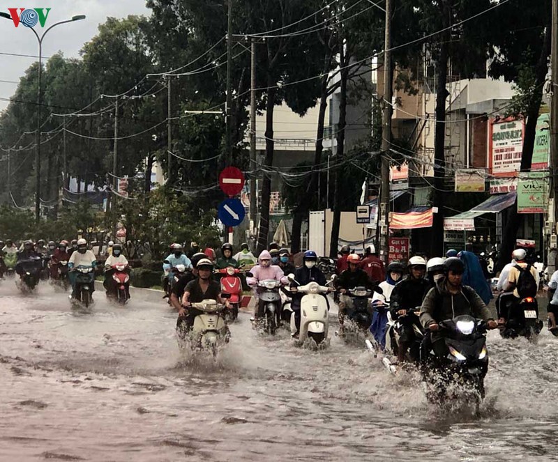   mua dau mua gay ngap sau nhieu tuyen duong o can tho hinh 1
