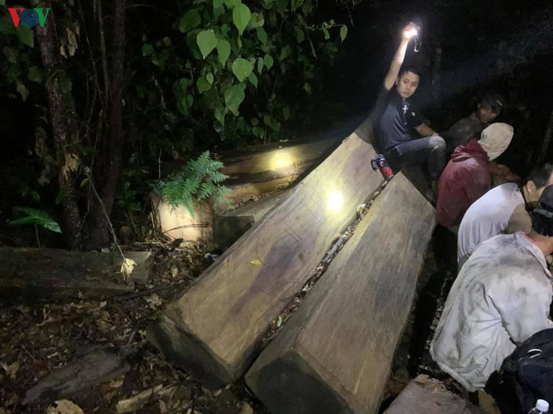 bat doi tuong cam dau vu khai thac go trai phep quy mo lon o dak lak hinh 1