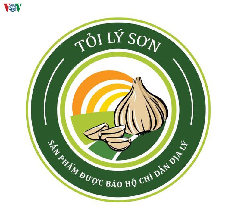 toi ly son da co chi dan dia ly hinh 1