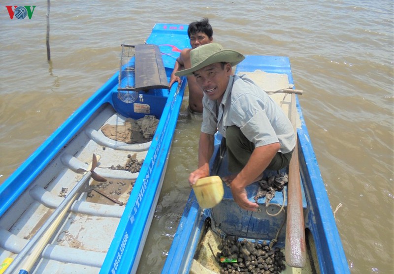 nuoi so huyet trong vuong tom, thu ve hang tram trieu moi nam hinh 1