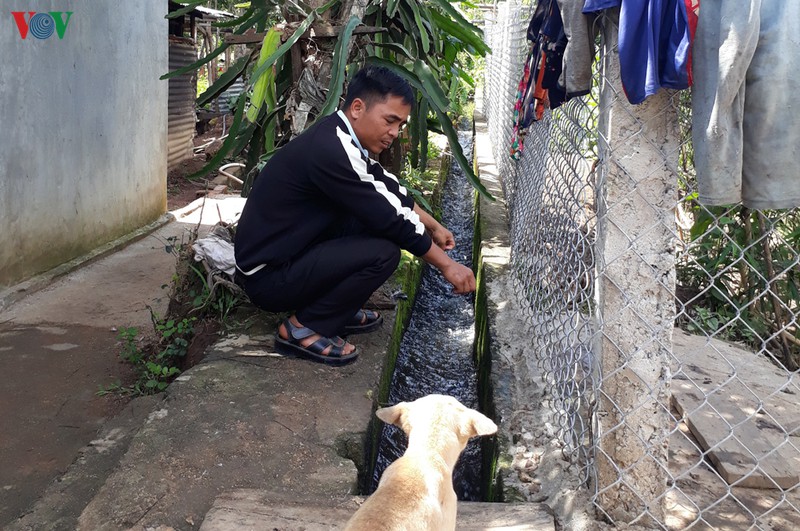 trien vong sinh ke lam nghiep o dak psi hinh 2