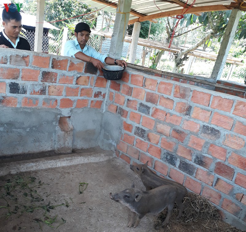 trien vong sinh ke lam nghiep o dak psi hinh 3