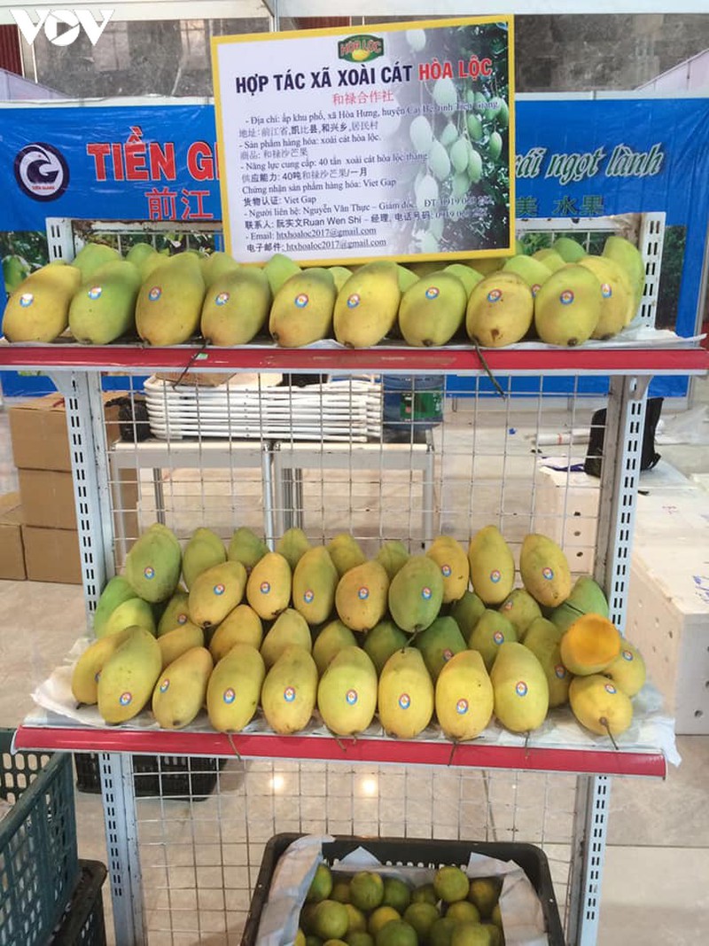 mao danh ma so vung trong xoai: khong biet kien ai, tien dau de kien? hinh 3
