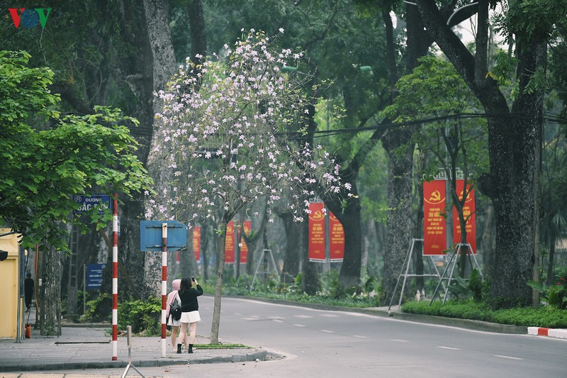 ngam sac hoa ban tay bac tinh khoi, dep nao long o ha noi hinh 12