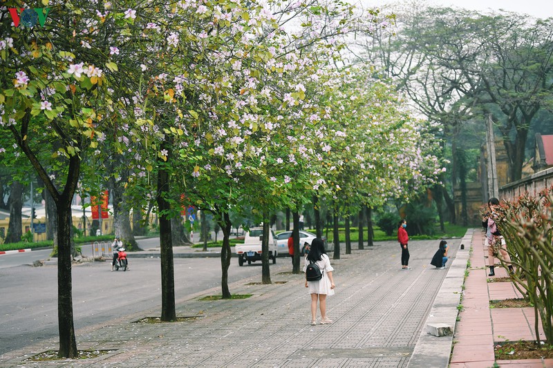 ngam sac hoa ban tay bac tinh khoi, dep nao long o ha noi hinh 10