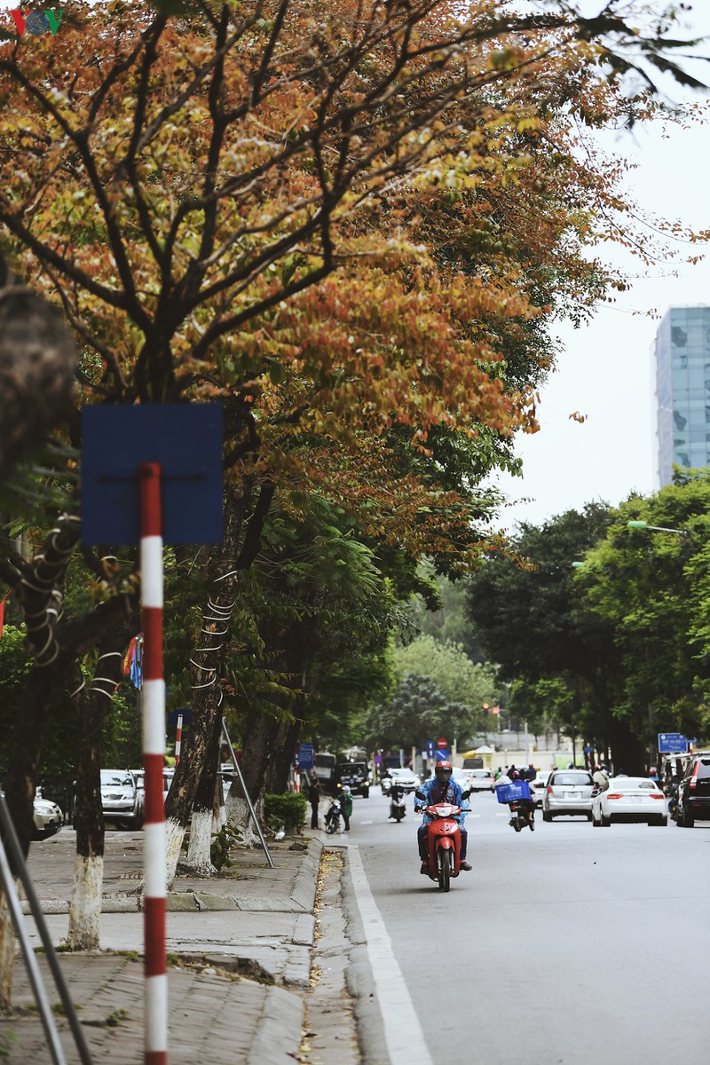 cam nhan ha noi "song cham" nhung ngay cao diem chong dich covid-19 hinh 18