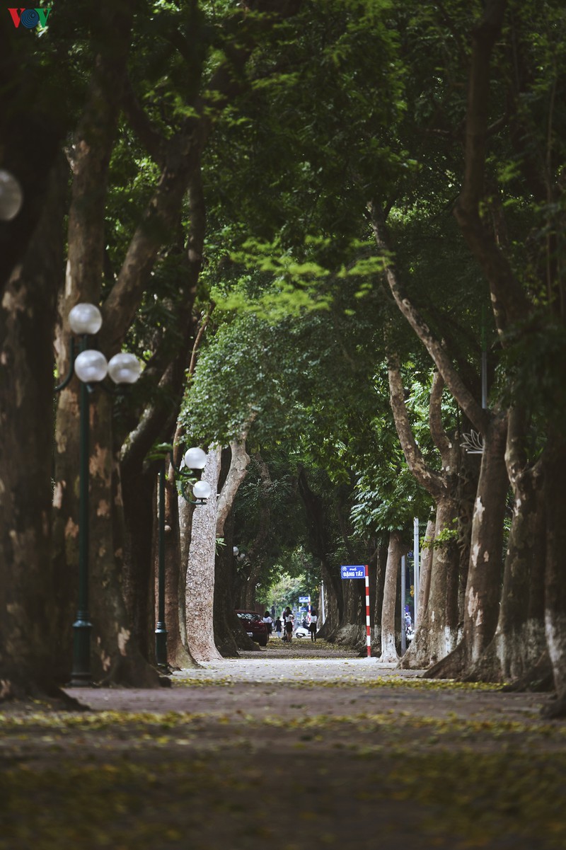cam nhan ha noi "song cham" nhung ngay cao diem chong dich covid-19 hinh 14