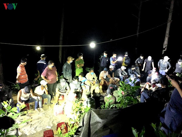 quang nam triet pha o danh bac giua rung phong ho phu ninh hinh 1