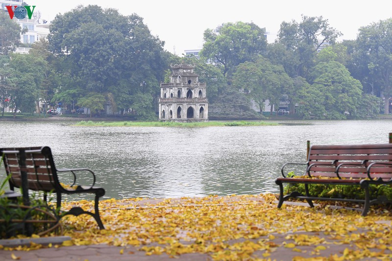pho phuong ha noi dep nao long mua sau trut la vang hinh 11