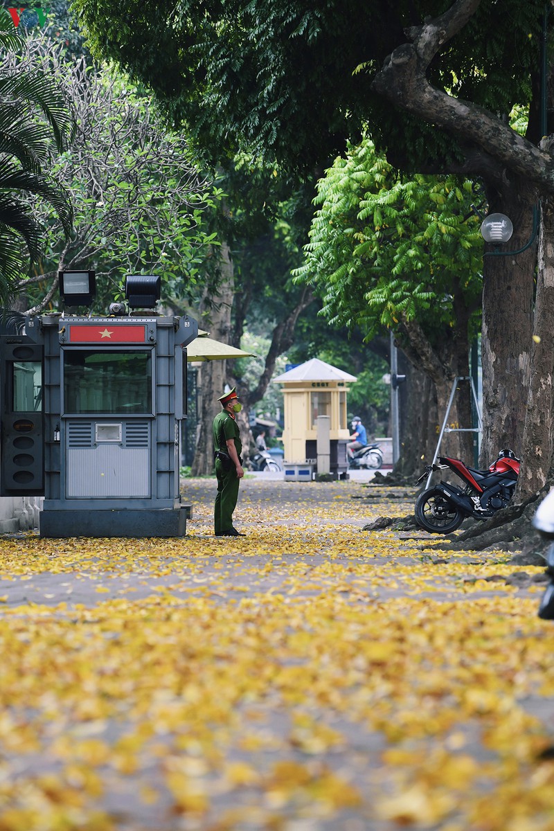 pho phuong ha noi dep nao long mua sau trut la vang hinh 1