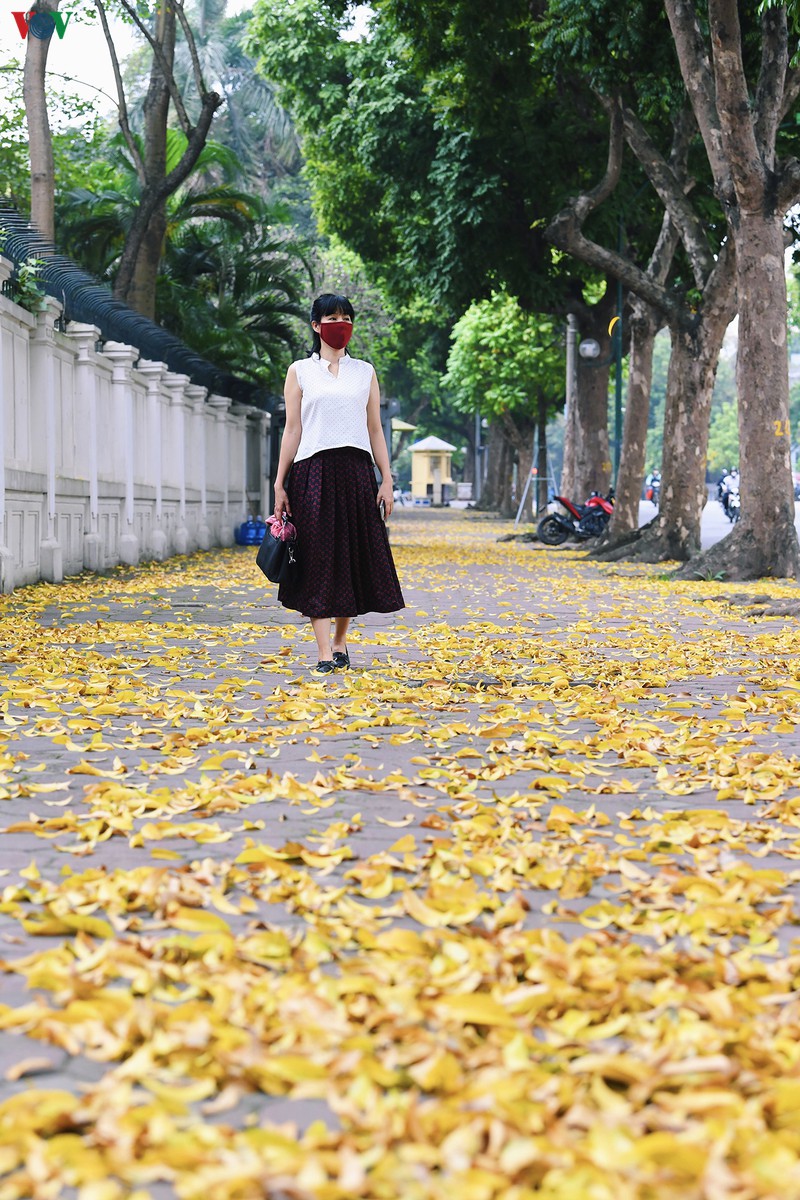 pho phuong ha noi dep nao long mua sau trut la vang hinh 2