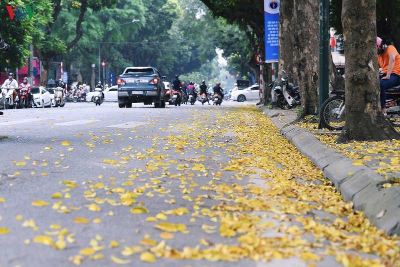 pho phuong ha noi dep nao long mua sau trut la vang hinh 3