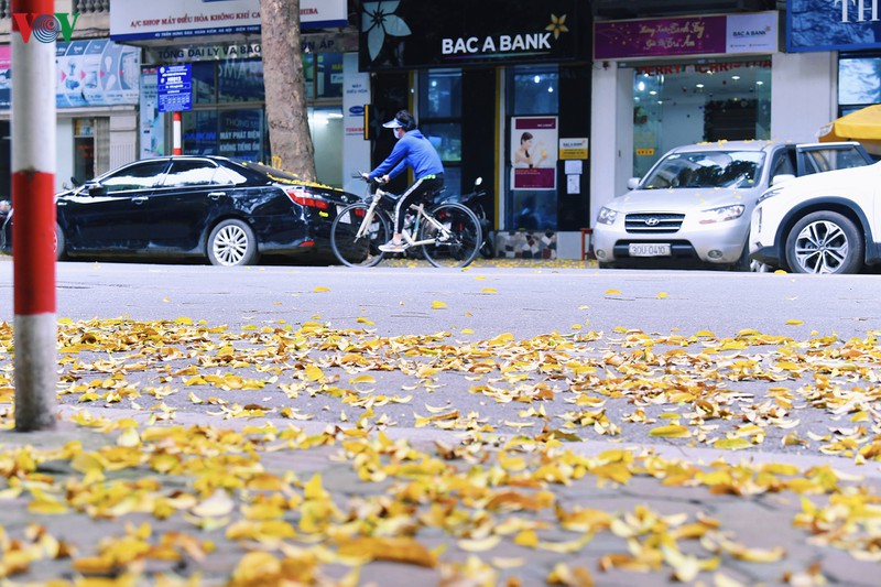 pho phuong ha noi dep nao long mua sau trut la vang hinh 5