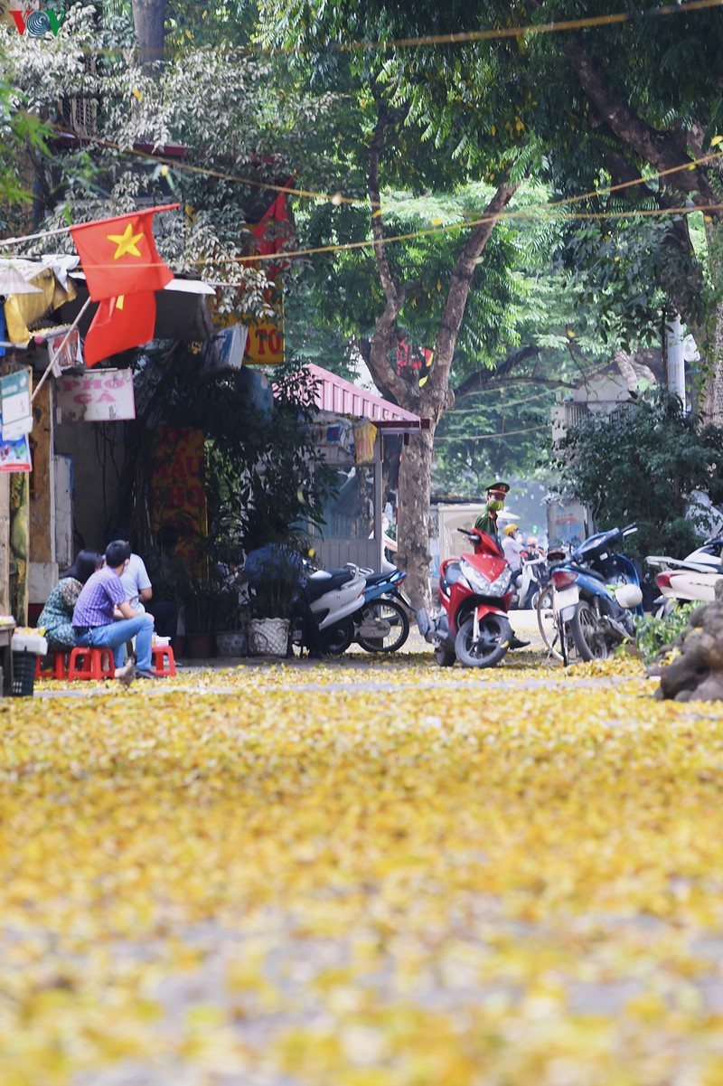 pho phuong ha noi dep nao long mua sau trut la vang hinh 6
