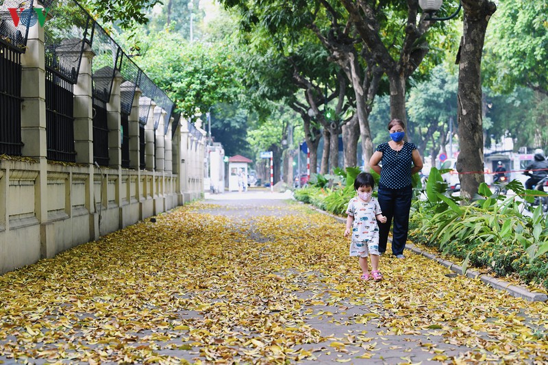 pho phuong ha noi dep nao long mua sau trut la vang hinh 10