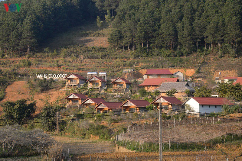 dong dao du khach den moc chau (son la) sau khi noi long gian cach xa hoi hinh 4