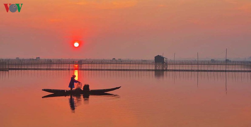 dam chuon hoang so, yen binh cua xu hue mong mo hinh 1