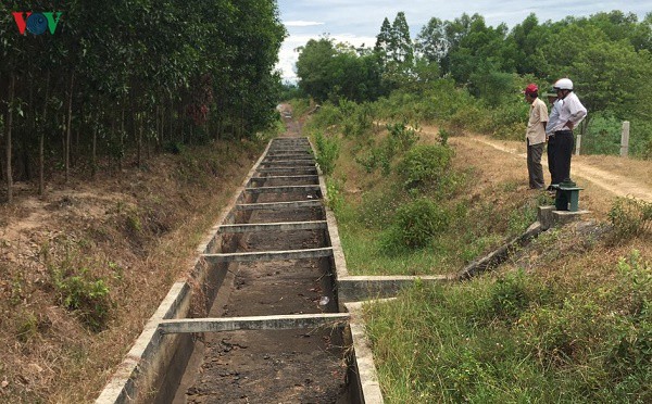 hon 2.000 ha lua o thua thien hue nguy co bo hoang vi nang han hinh 2