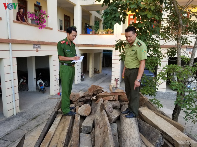 bac kan bat giu xe tai van chuyen go trai phep hinh 2