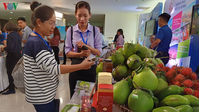 cac tinh dong nam bo lien ket, kich cau du lich noi dia hinh 1