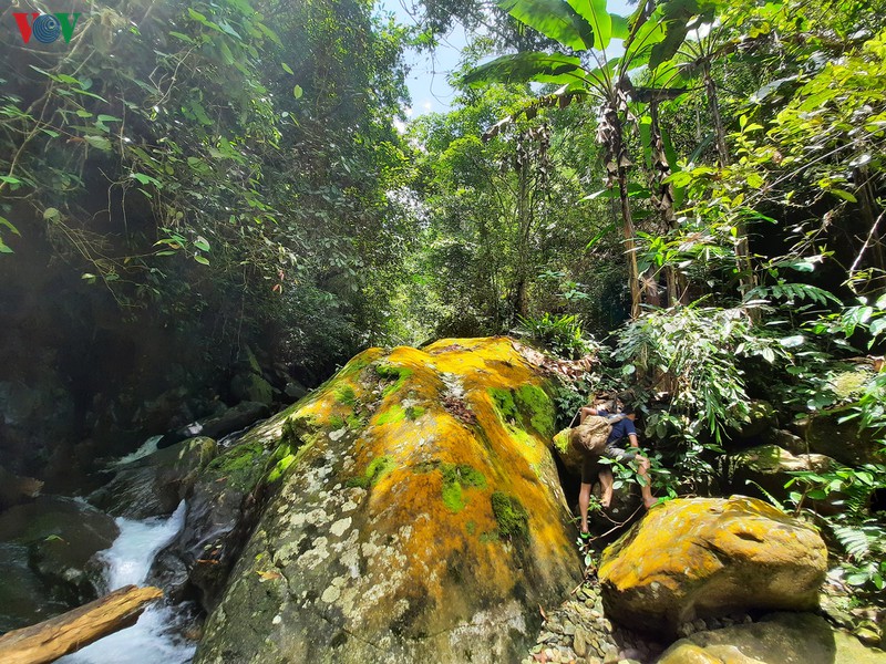 chinh phuc suoi cua tu - cung duong trekking hap dan o thai nguyen hinh 7