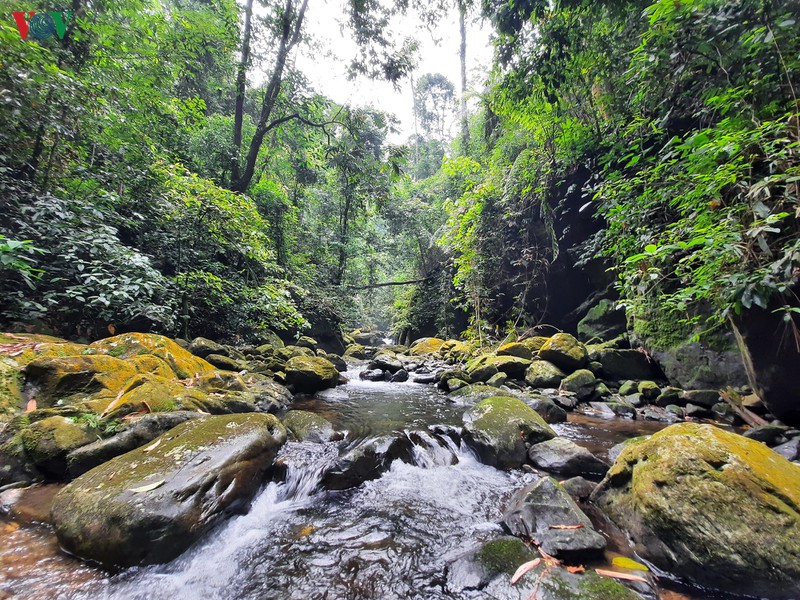 chinh phuc suoi cua tu - cung duong trekking hap dan o thai nguyen hinh 8