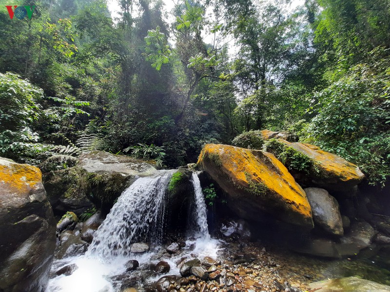 chinh phuc suoi cua tu - cung duong trekking hap dan o thai nguyen hinh 16