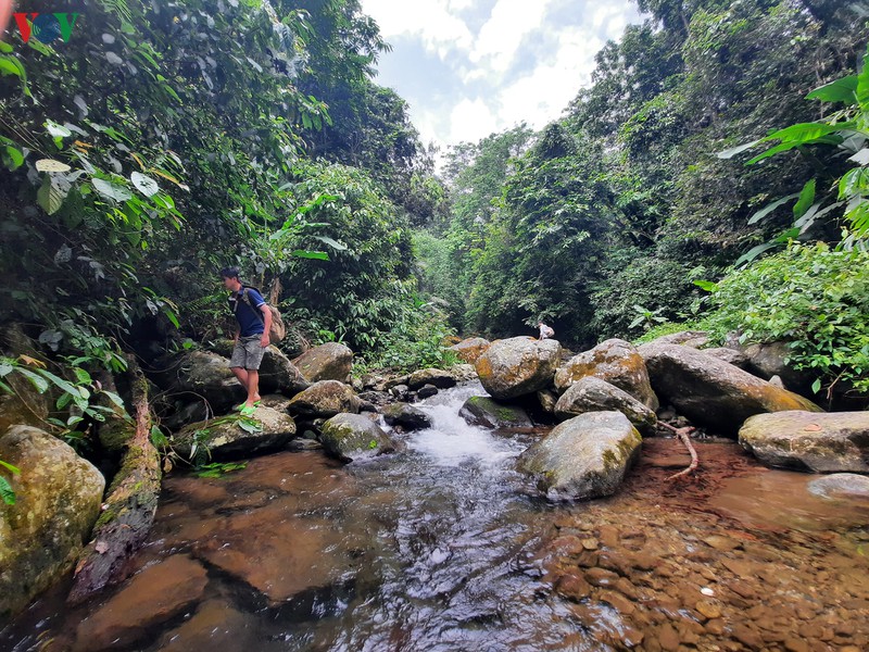 chinh phuc suoi cua tu - cung duong trekking hap dan o thai nguyen hinh 6