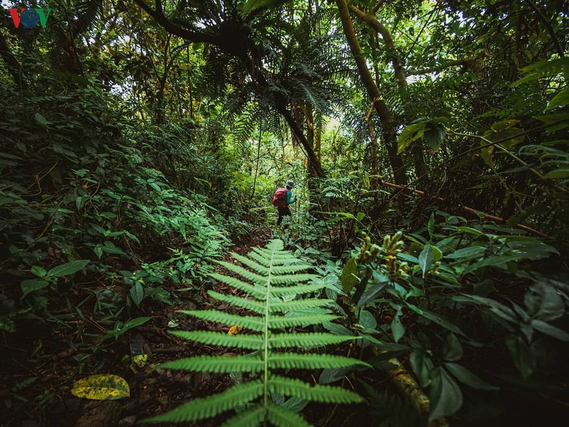 chinh phuc suoi cua tu - cung duong trekking hap dan o thai nguyen hinh 4