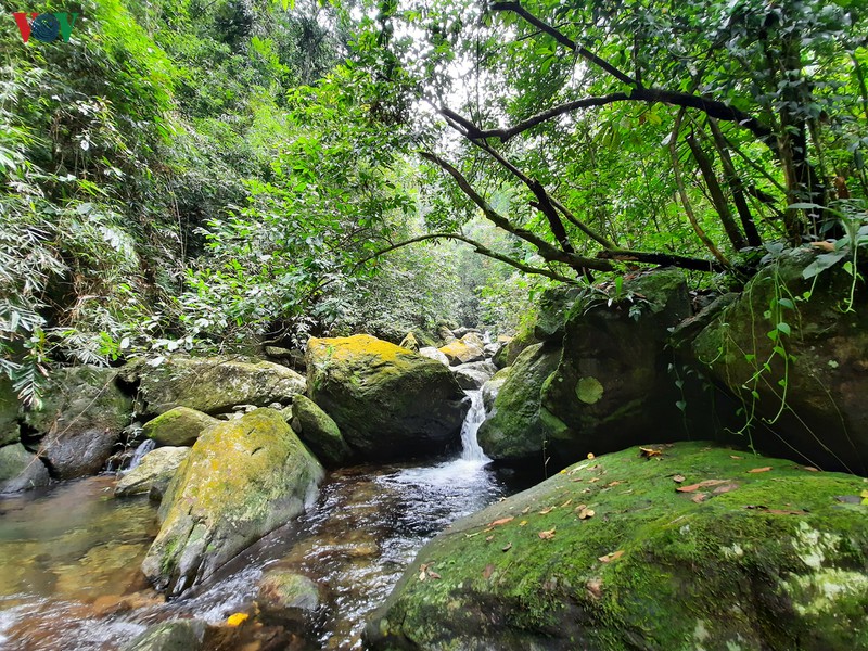 chinh phuc suoi cua tu - cung duong trekking hap dan o thai nguyen hinh 13