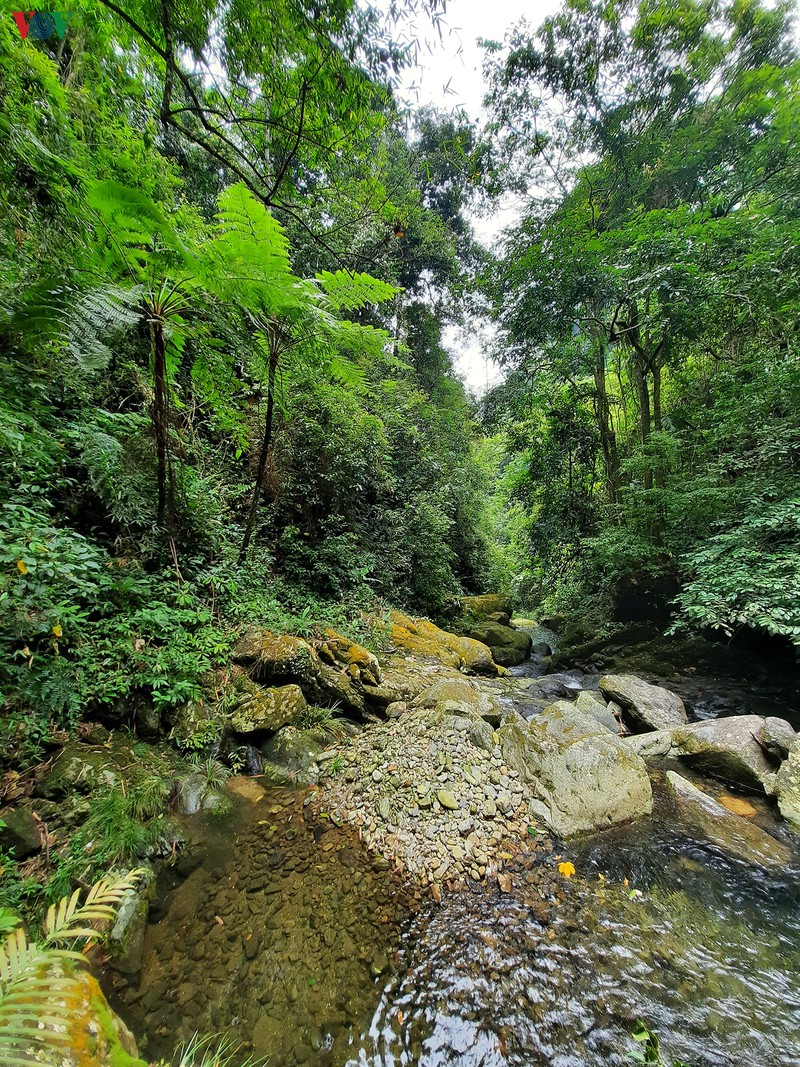 chinh phuc suoi cua tu - cung duong trekking hap dan o thai nguyen hinh 14