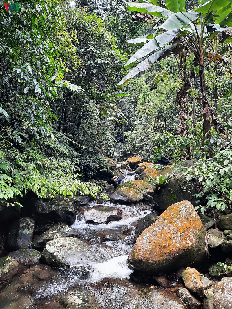 chinh phuc suoi cua tu - cung duong trekking hap dan o thai nguyen hinh 2