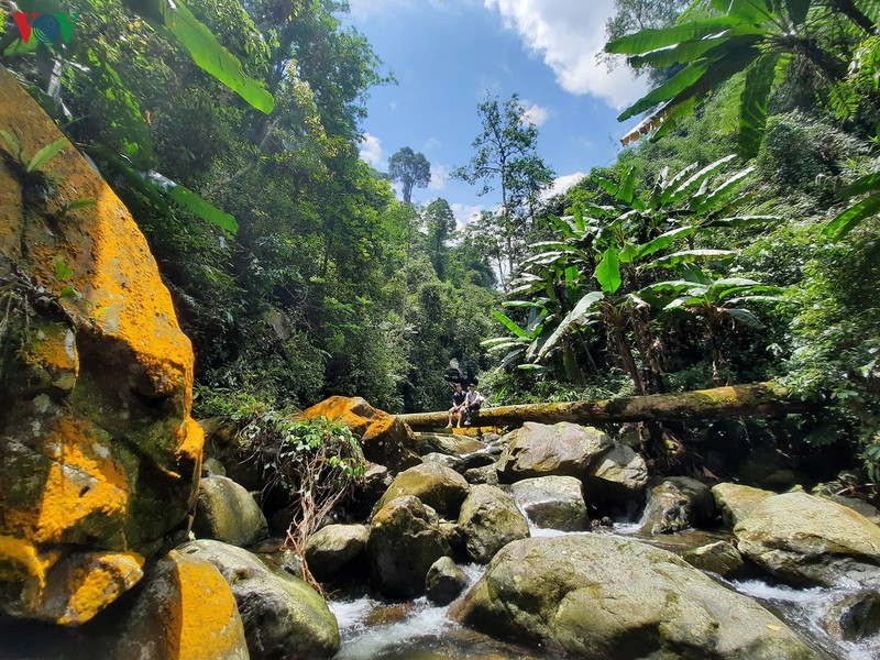 chinh phuc suoi cua tu - cung duong trekking hap dan o thai nguyen hinh 3