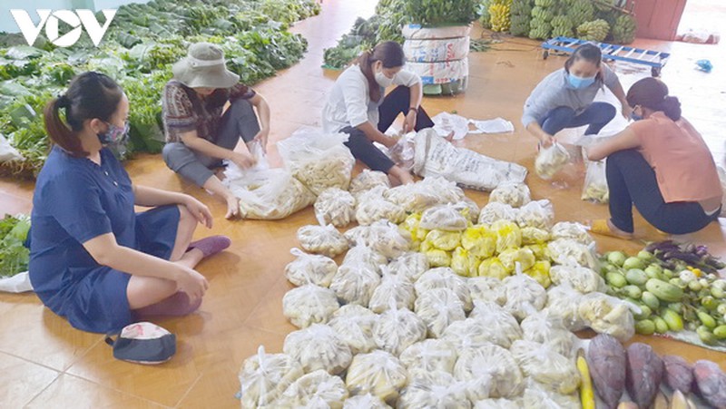 dong bao mien nui nam tra my, quang nam ung ho da nang 9 tan rau rung hinh 1