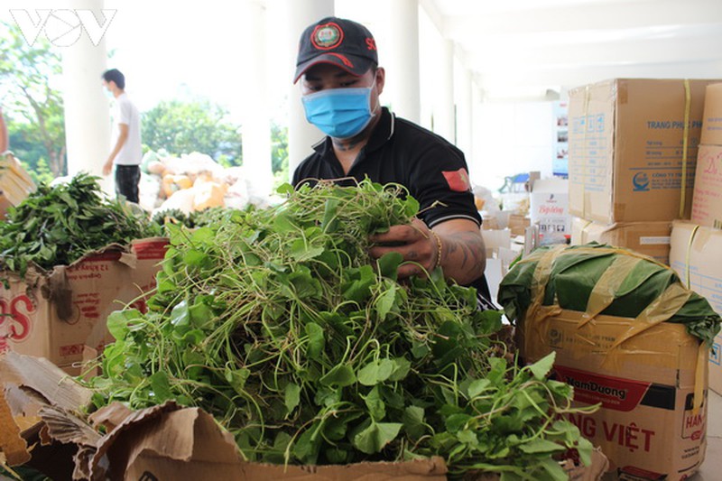dong bao mien nui nam tra my, quang nam ung ho da nang 9 tan rau rung hinh 4