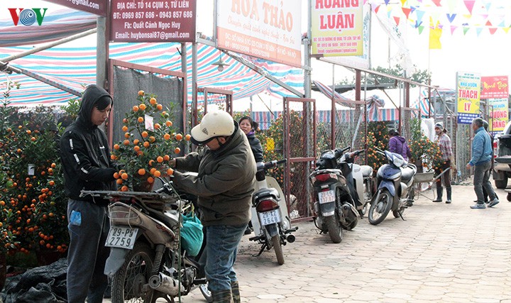 dut tui tien trieu moi ngay nho cong viec thoi vu tai vuon dao, quat hinh 1