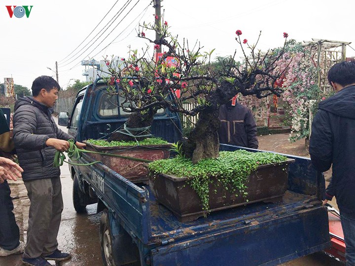 dut tui tien trieu moi ngay nho cong viec thoi vu tai vuon dao, quat hinh 13