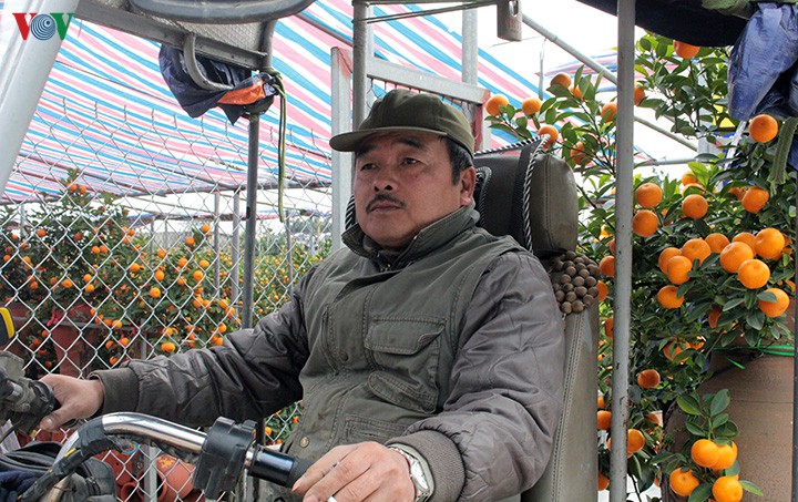 dut tui tien trieu moi ngay nho cong viec thoi vu tai vuon dao, quat hinh 8