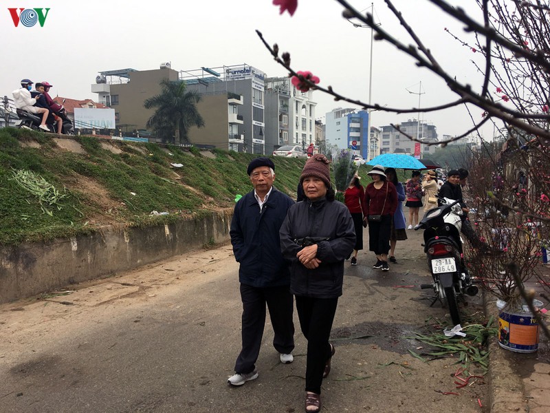 nguoi dan ha noi no nuc xuong pho mua hoa dao choi tet duong lich hinh 13