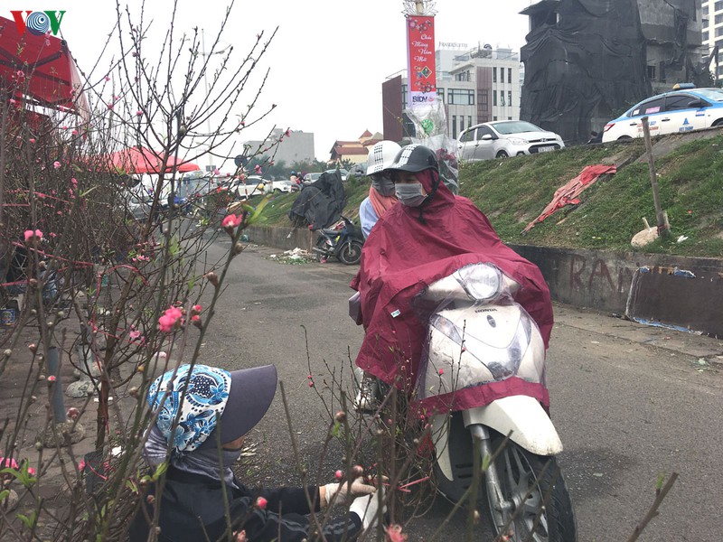 nguoi dan ha noi no nuc xuong pho mua hoa dao choi tet duong lich hinh 4