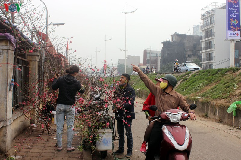 nguoi dan ha noi no nuc xuong pho mua hoa dao choi tet duong lich hinh 10