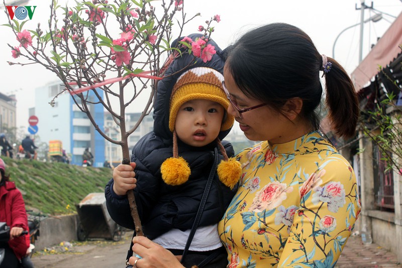 nguoi dan ha noi no nuc xuong pho mua hoa dao choi tet duong lich hinh 18