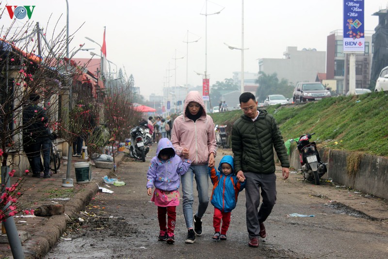 nguoi dan ha noi no nuc xuong pho mua hoa dao choi tet duong lich hinh 14