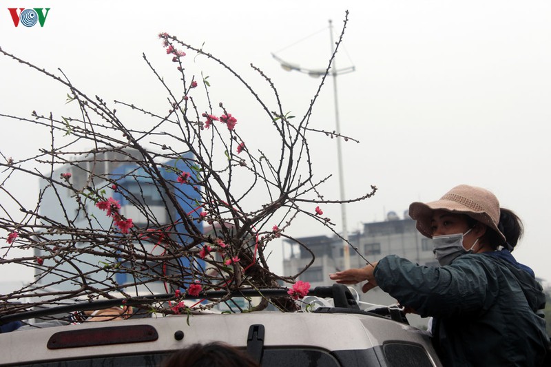 nguoi dan ha noi no nuc xuong pho mua hoa dao choi tet duong lich hinh 15