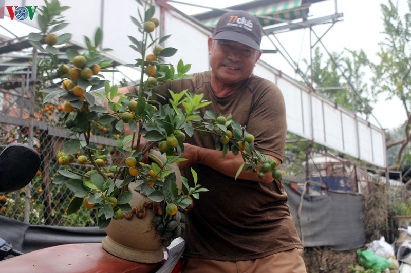 chuot ngoc cong quat, quat dinh vang tu lien tien trieu van hut khach hinh 17