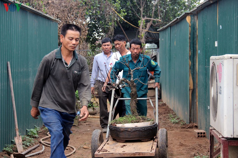 dao that thon nam phong dieu hoa cua dong then cai doi tet canh ty hinh 9