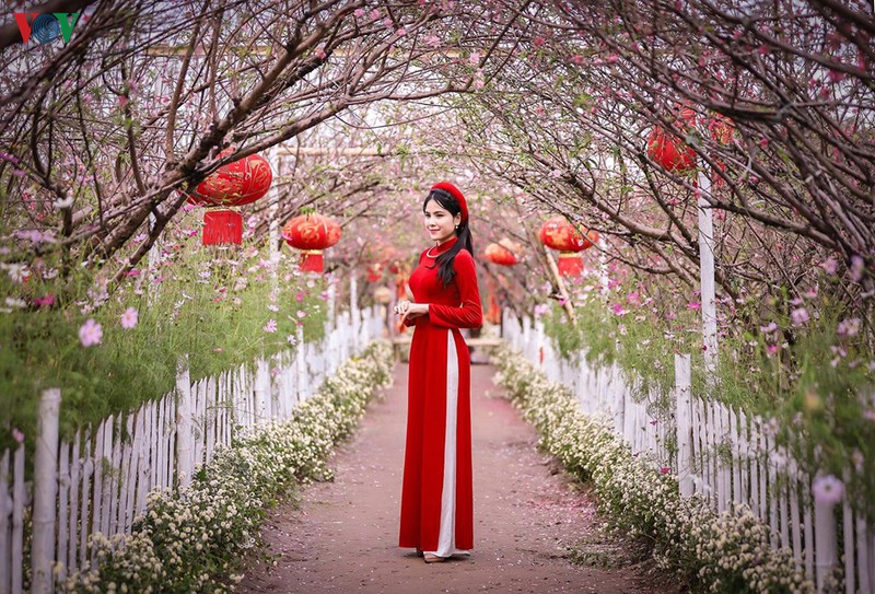 lang dao nhat tan nhon nhip nam thanh nu tu do ve chup anh truoc tet hinh 8