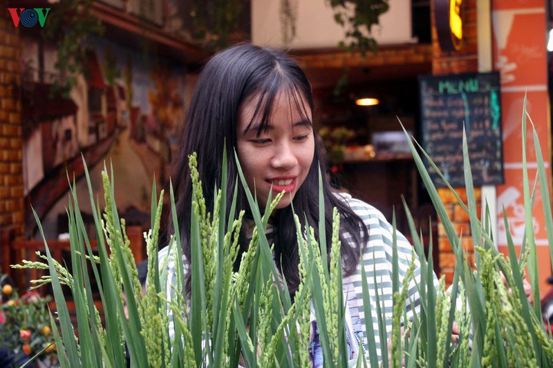 tet canh ty: lua nep canh xuong pho cho hoa co nhat ha noi hinh 5