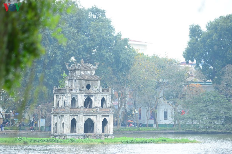 ngay 8/3: hen ho o dau trong mua dich covid-19? hinh 1